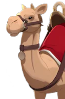 Guiding Camel