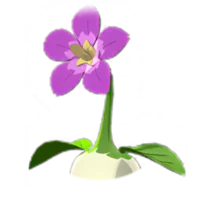 Impatient Walking Flower