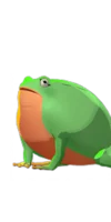 Sluggish Rush Frog