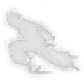 Flash Step icon