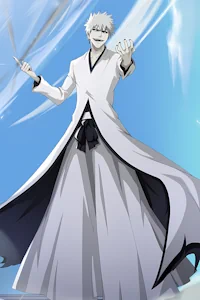 The Way to Use Bankai