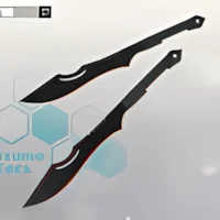 SW-Ameno Torifune Twin Swords