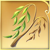 Anima Willow